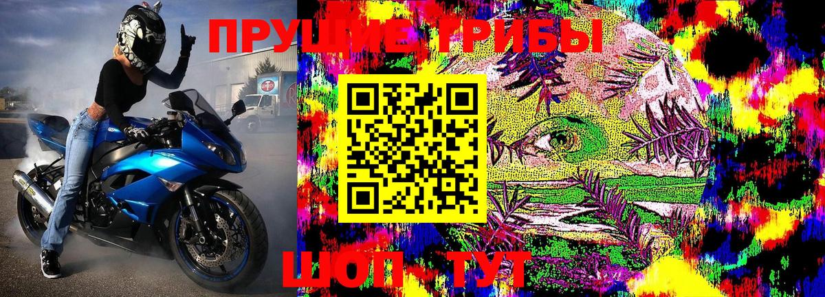 Галлюциногенные грибы MAGIC MUSHROOMS  Вход с VPN  Кизляр 